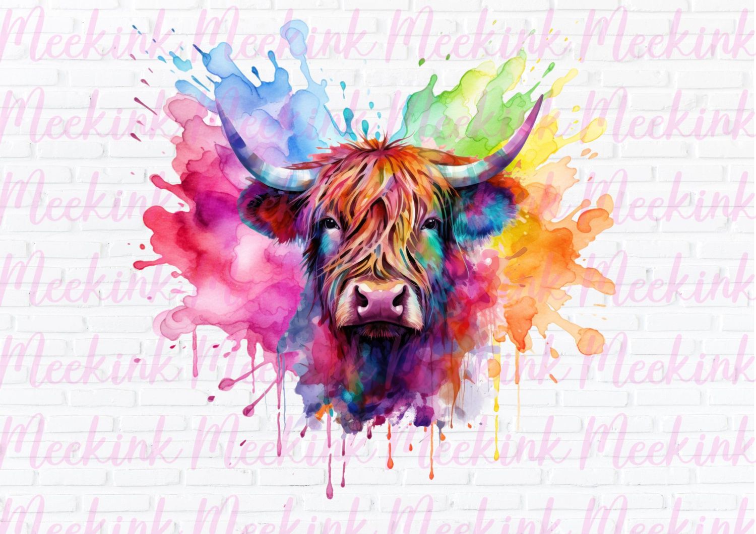 Highland Cow 61