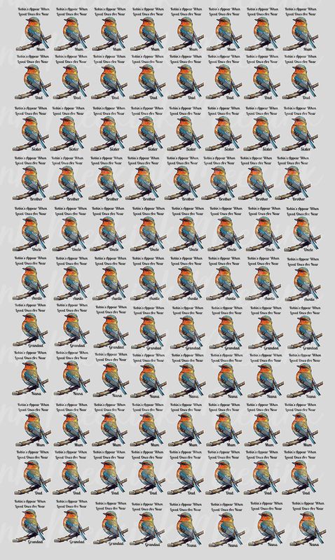 Robin Mixed Title Half Meter Sheet UVDTF or DTF Decal