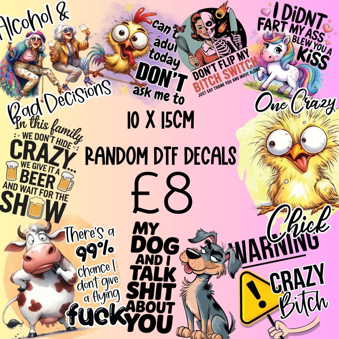 10 X Random Sarcastic/Sweary DTF prints 15cm