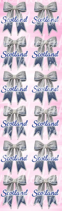 12 X 15cm Ombre Scotland Bow Metre Sheet DTF Decals