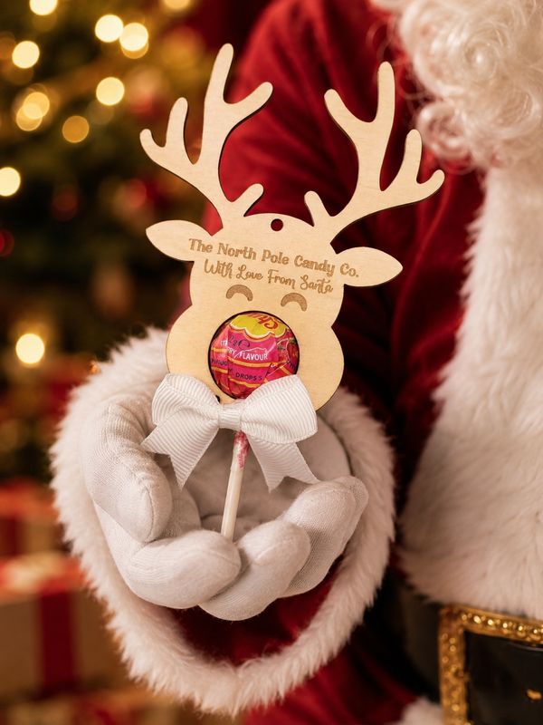 Christmas Reindeer Lolly Holder 3mm Plywood Blank