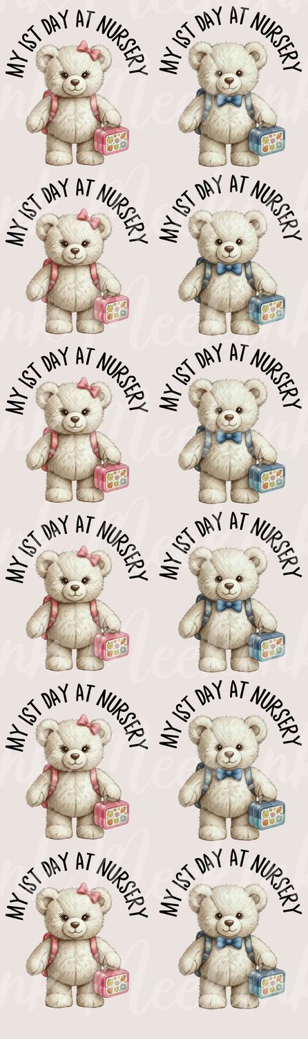1 Metre When I Wake Up My First Day At School Bears DTF Decal x12