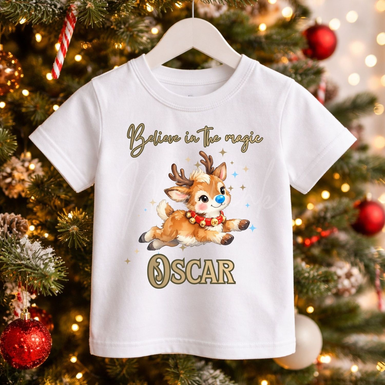 Believe In The Magic Reindeer Blue Nose DTF Decal
