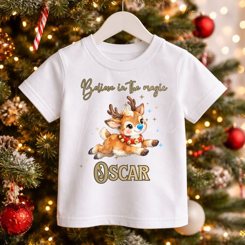 Believe In The Magic Reindeer Blue Nose DTF Decal
