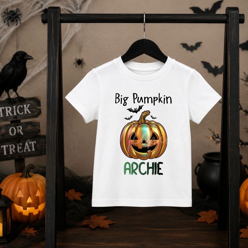 Big Pumpkin 15cm DTF PRINT