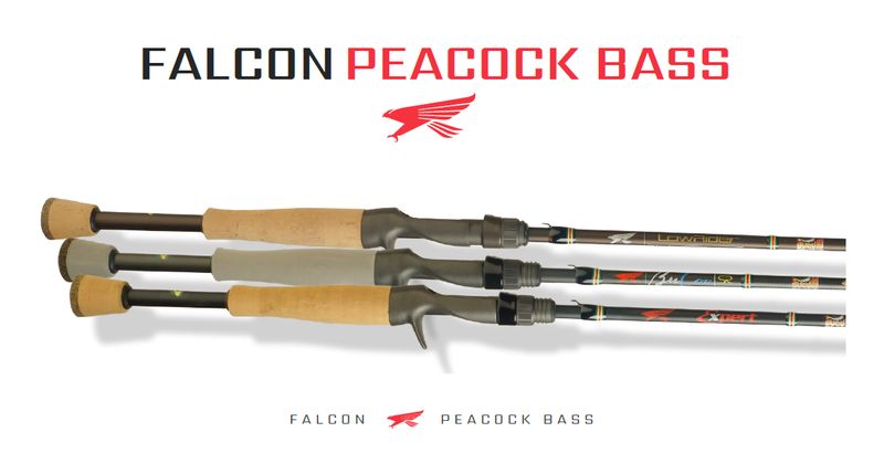 Falcon Bucco Peacock Bass