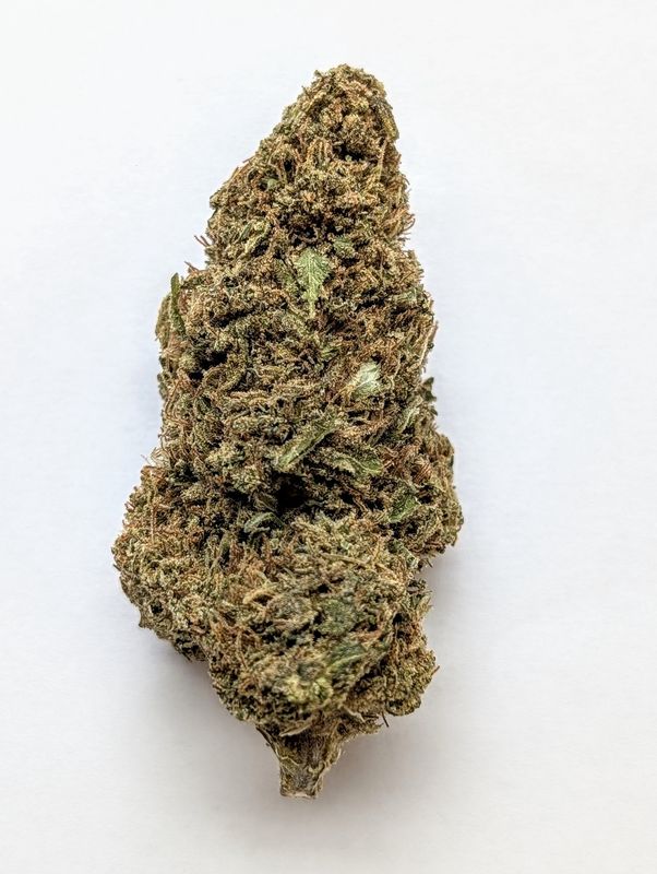 INDOOR THCA HEMP FLOWER