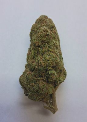 INDOOR THCA HEMP FLOWER