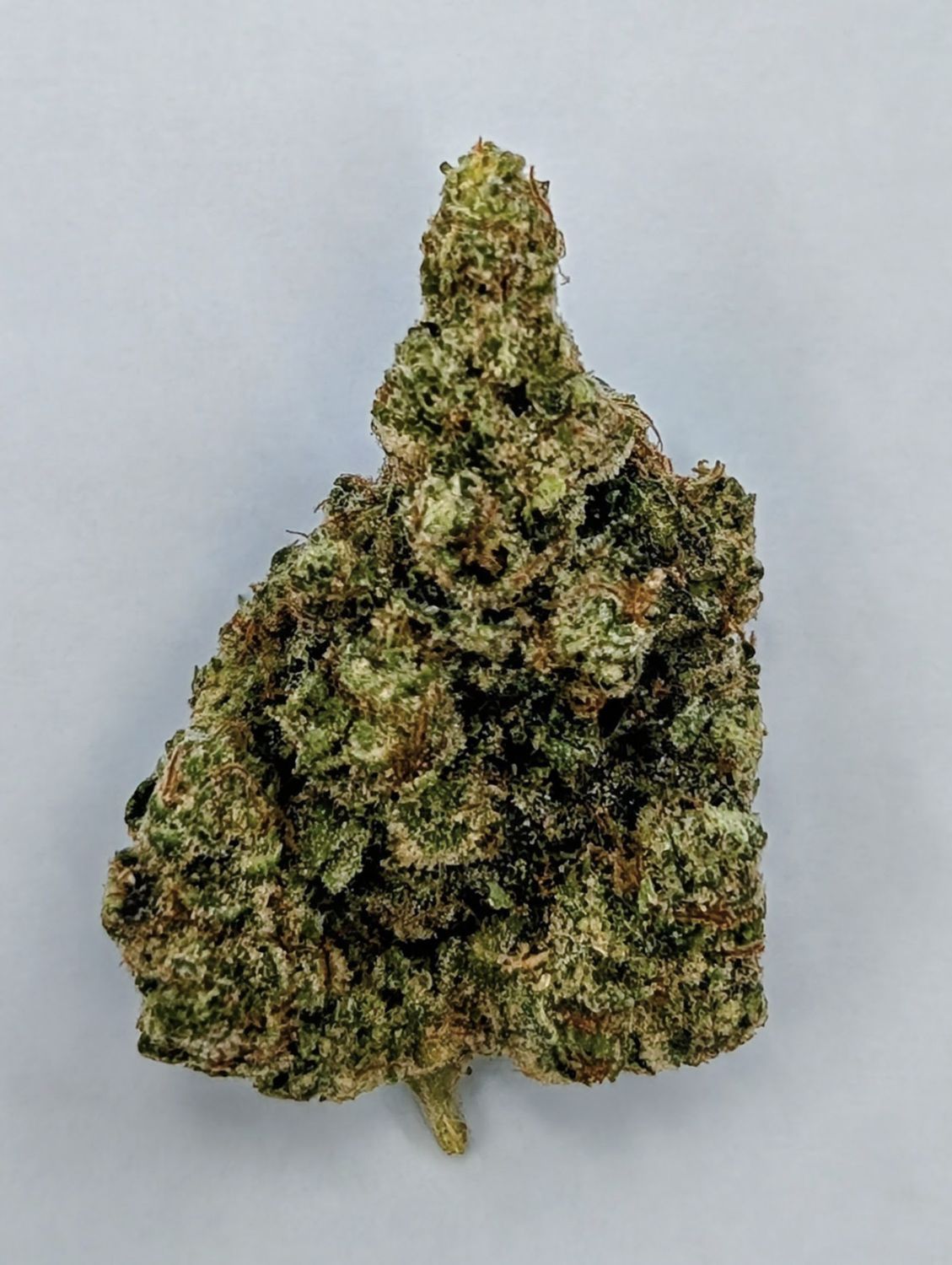 INDOOR THCA HEMP FLOWER