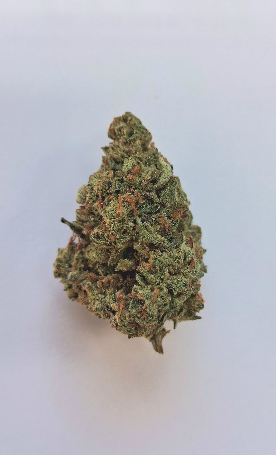 INDOOR THCA HEMP FLOWER