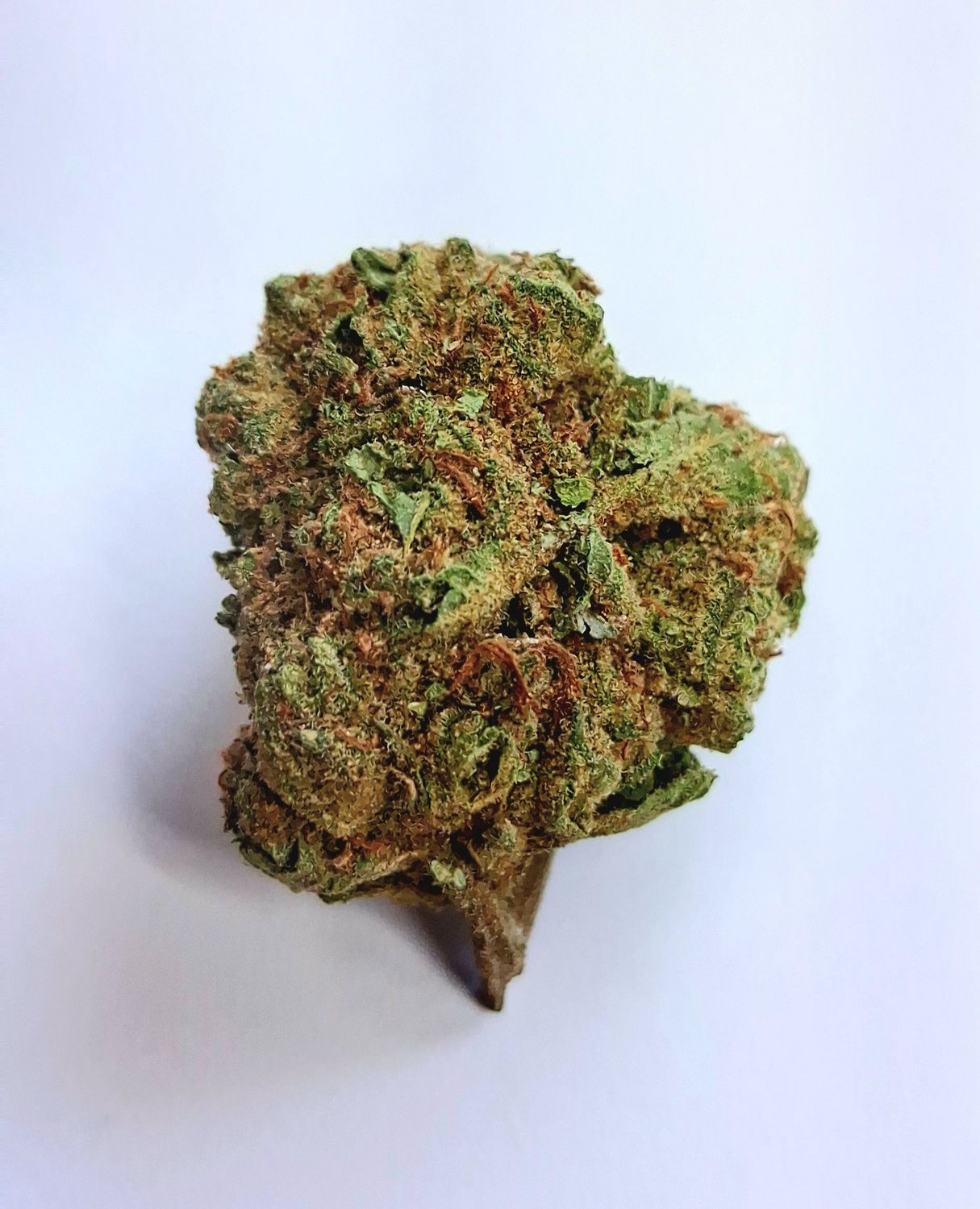 INDOOR THCA HEMP FLOWER