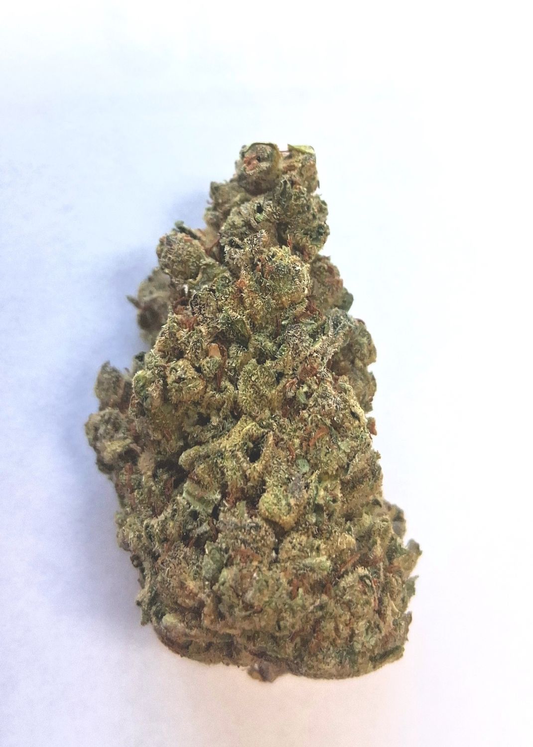 INDOOR THCA HEMP FLOWER, STRAIN: GASTRO POP(H), Size: GRAM