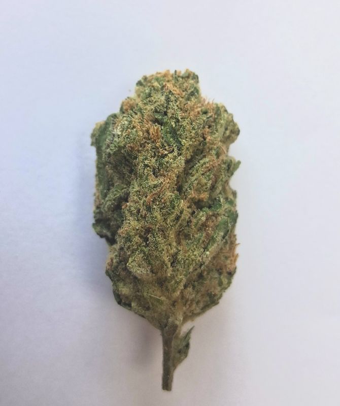 INDOOR THCA HEMP FLOWER