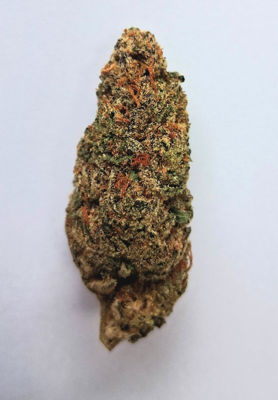 INDOOR THCA HEMP FLOWER