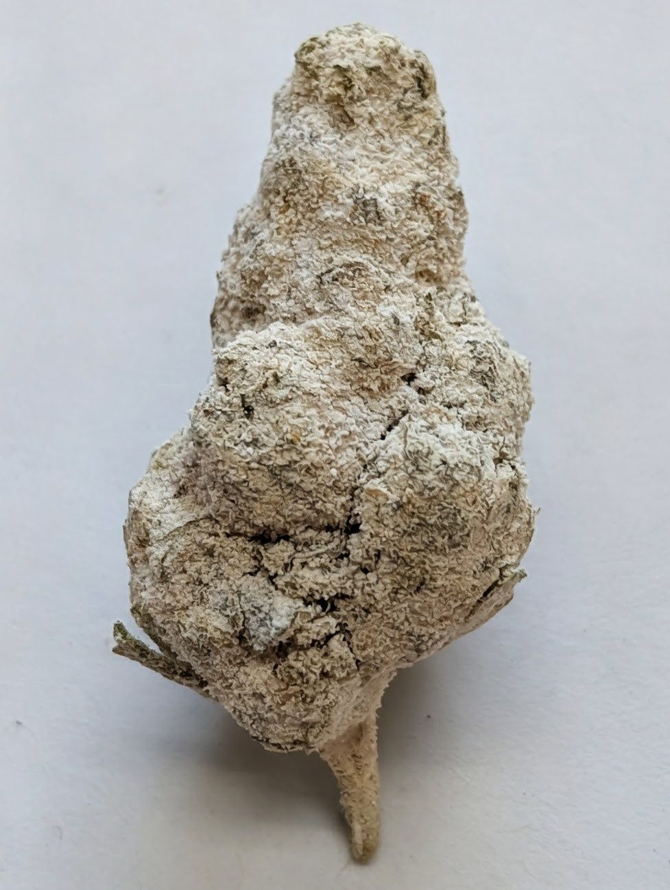 INDOOR THCA HEMP FLOWER