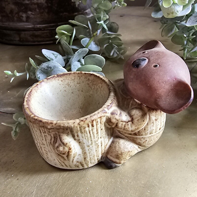 Koala Pottery Egg Cup Made by Gempo