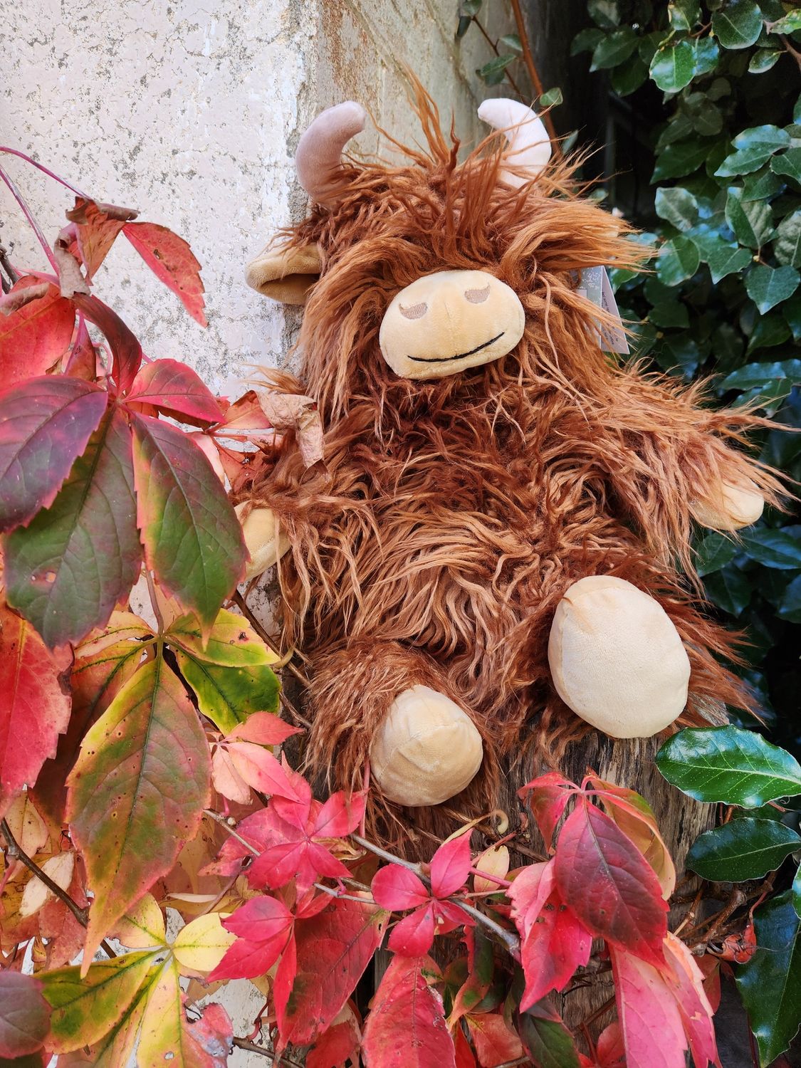 Henry the Highland Cow Large Plush