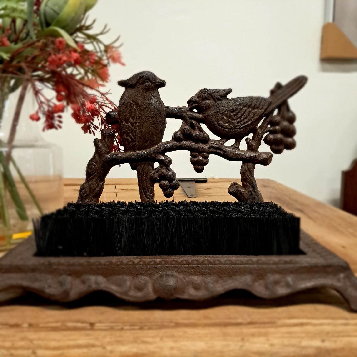 Bird Shoe Scraper Brush