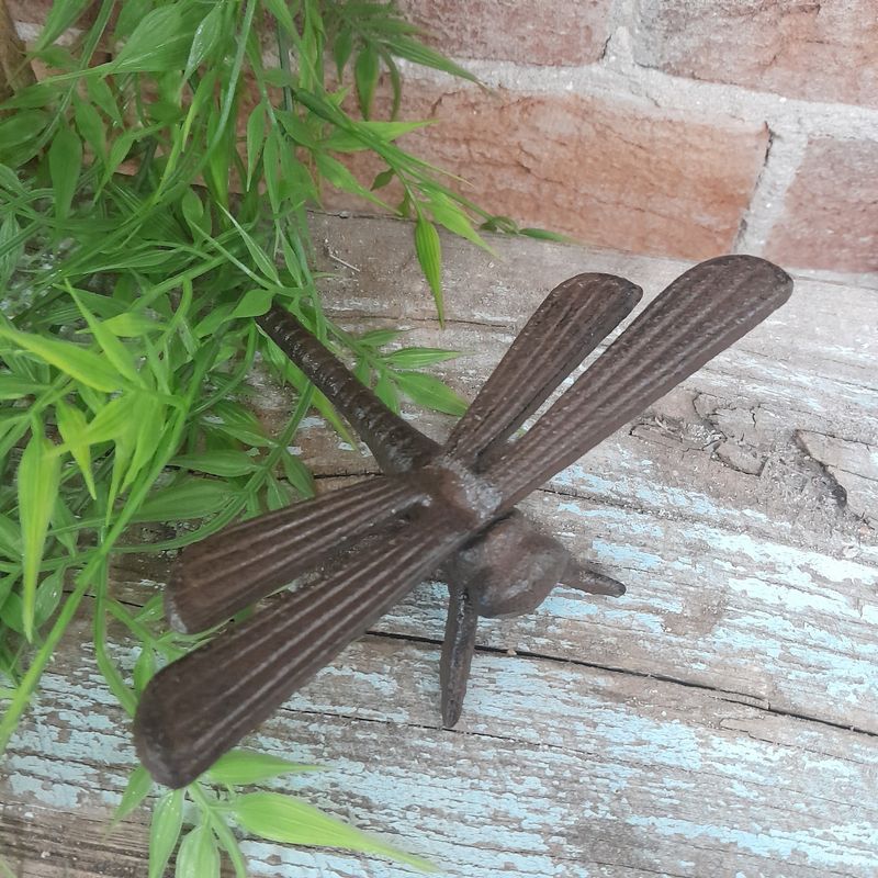 Cast Iron Dragonfly - straight wings