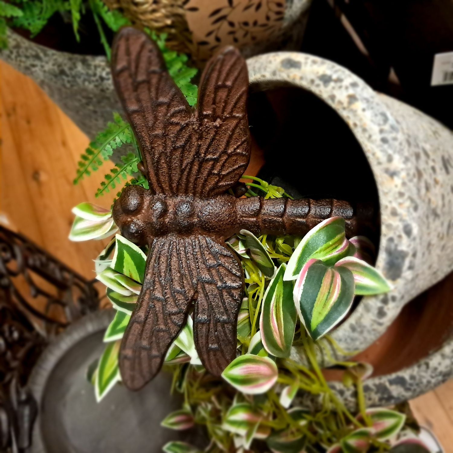Dragonfly cast iron - curved wings