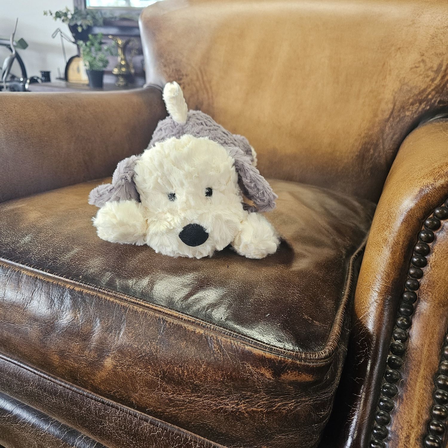 Dakota the Plush dog