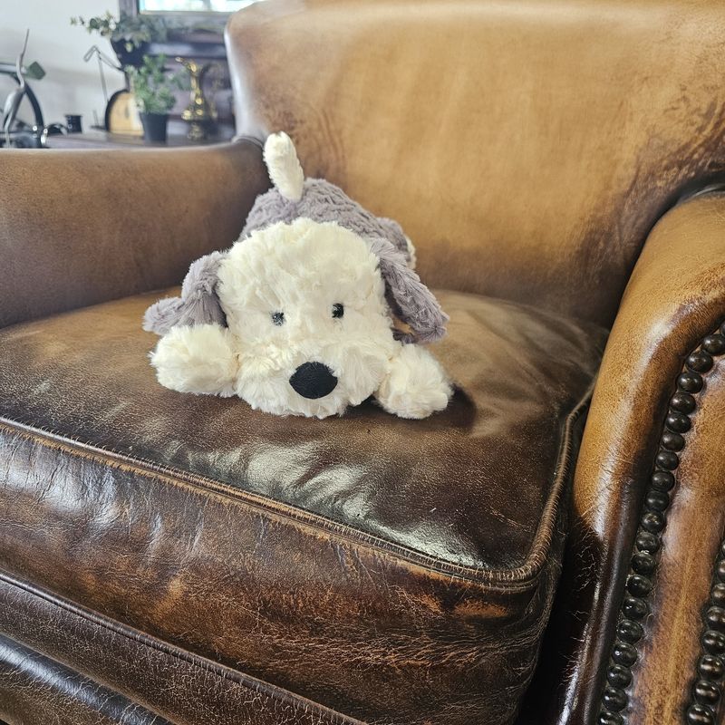Dakota the Plush dog