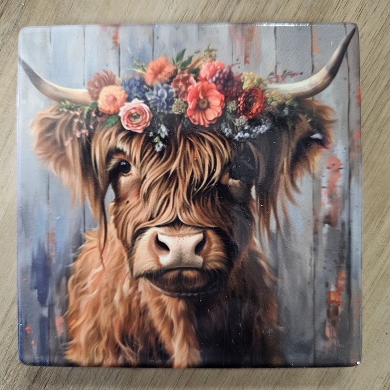 Highland Cow w/Flowers Coasters S/4
