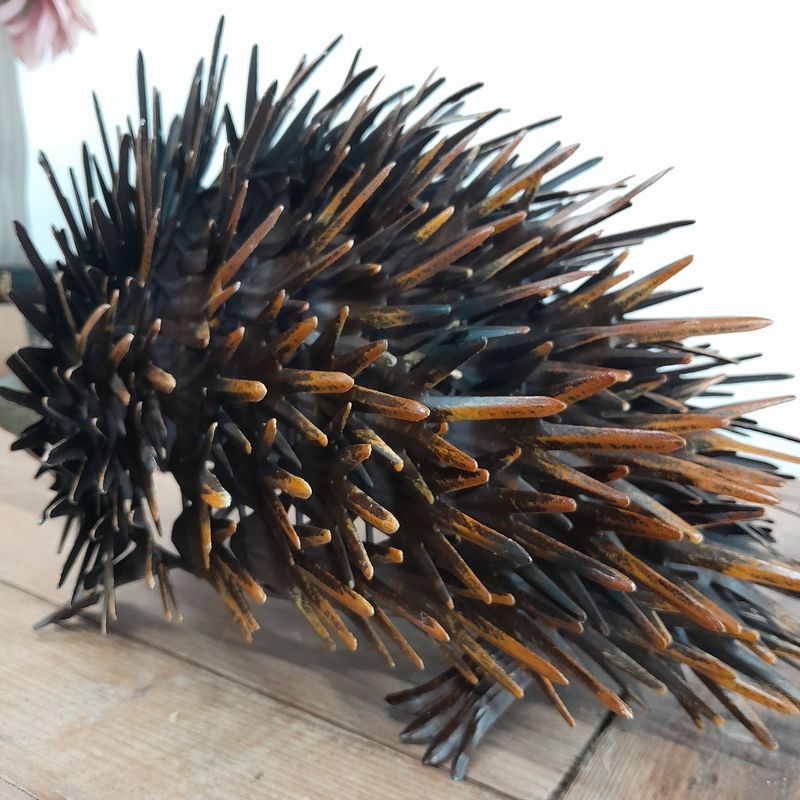 Australian Echidna Metal Art