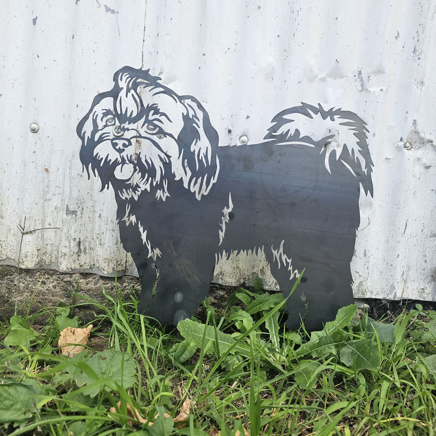 Parker the Shih Tzu Dog Australian Metal Art