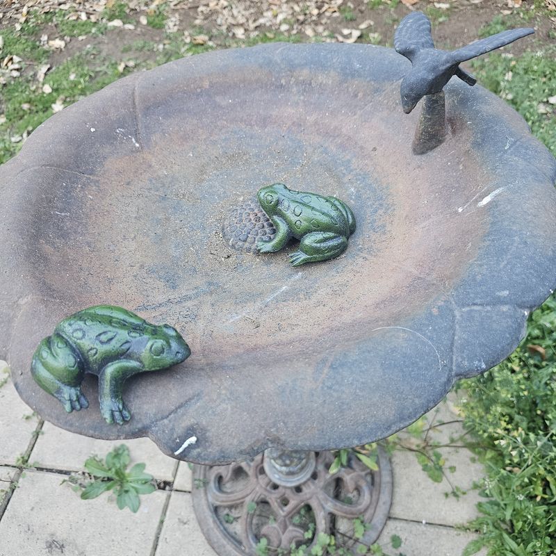 Green Frog Cast Iron