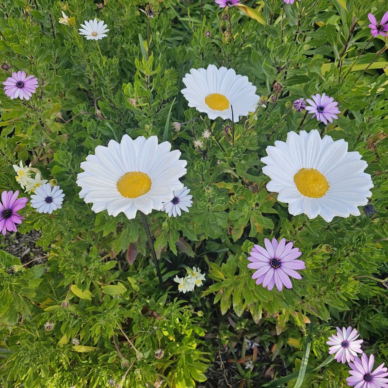 Flower Cast Iron on Stake