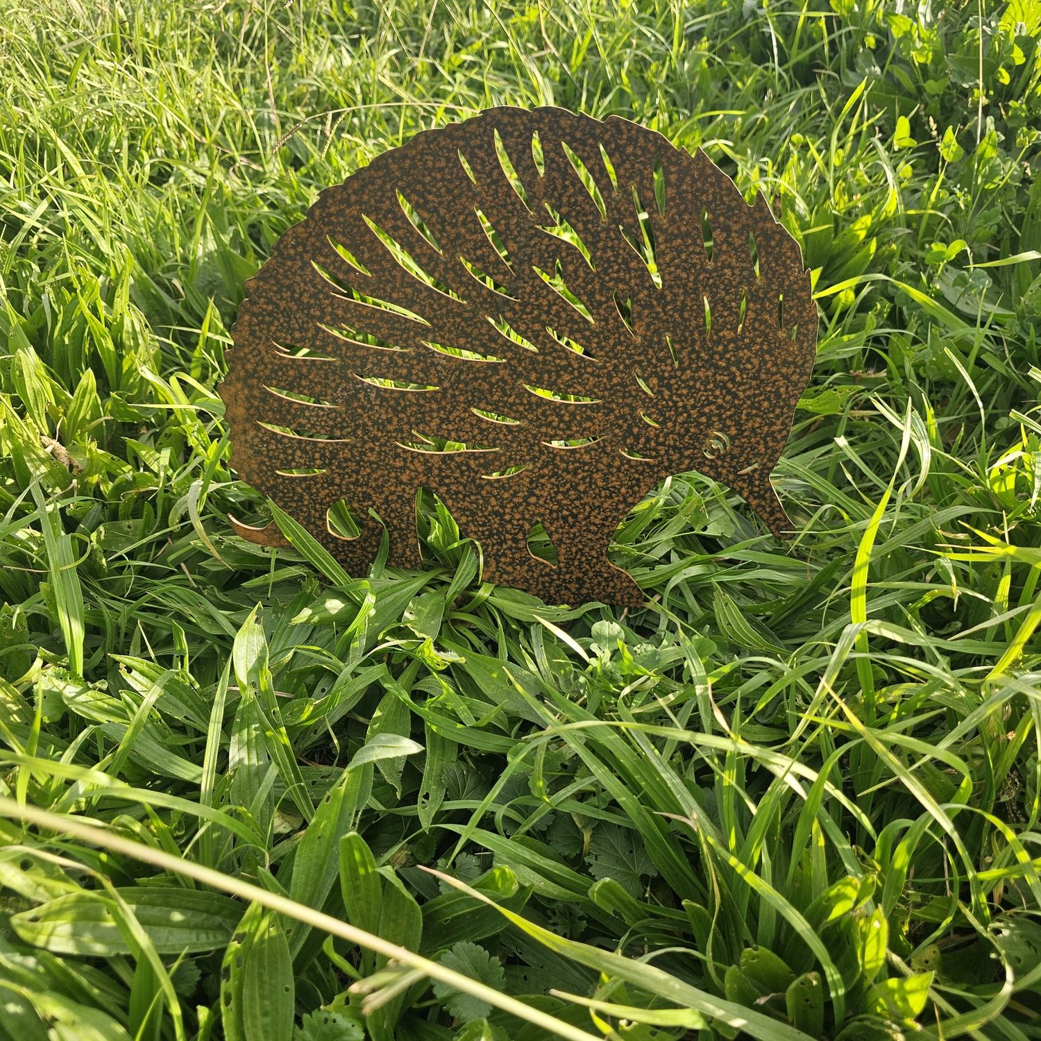 Echidna Australian Metal Art, Size: Large