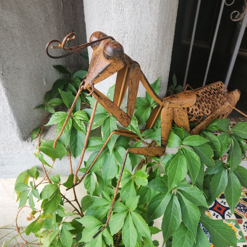 Arnie the Praying Mantis metal garden art