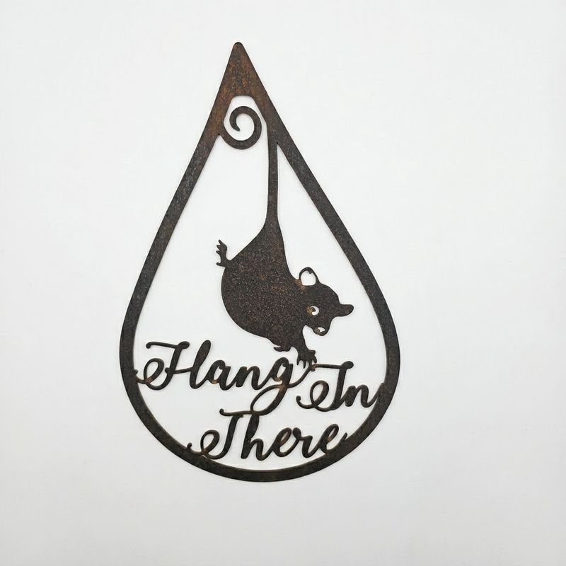 Hang In There Possum in Raindrop Metal Art