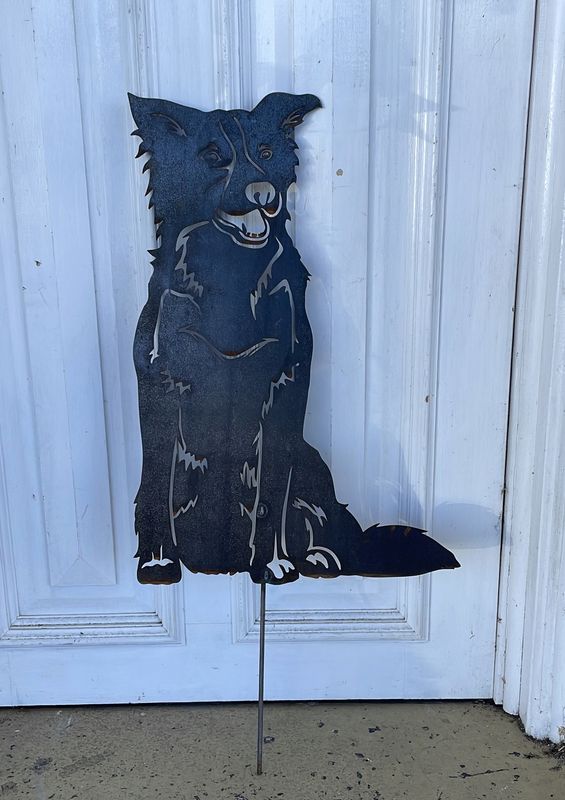 Scout the Border Collie Dog Australian Metal Art