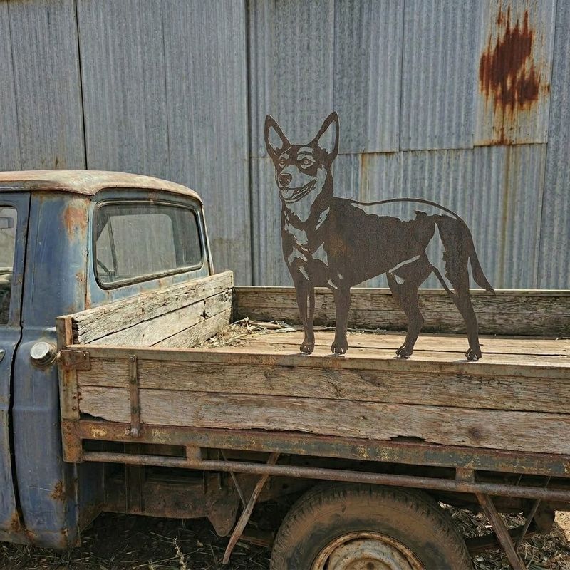 Banjo the Kelpie Working Dog Australian Metal Art