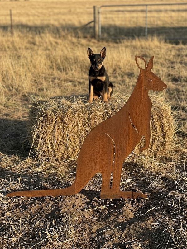 Kangaroo Australian Made Metal Art