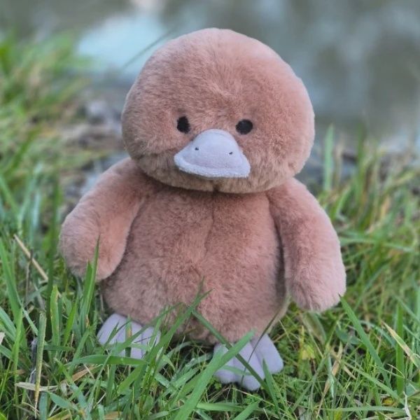 River the Platypus Petite Vous