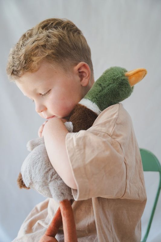 Hugo the Mallard Duck Plush Toy