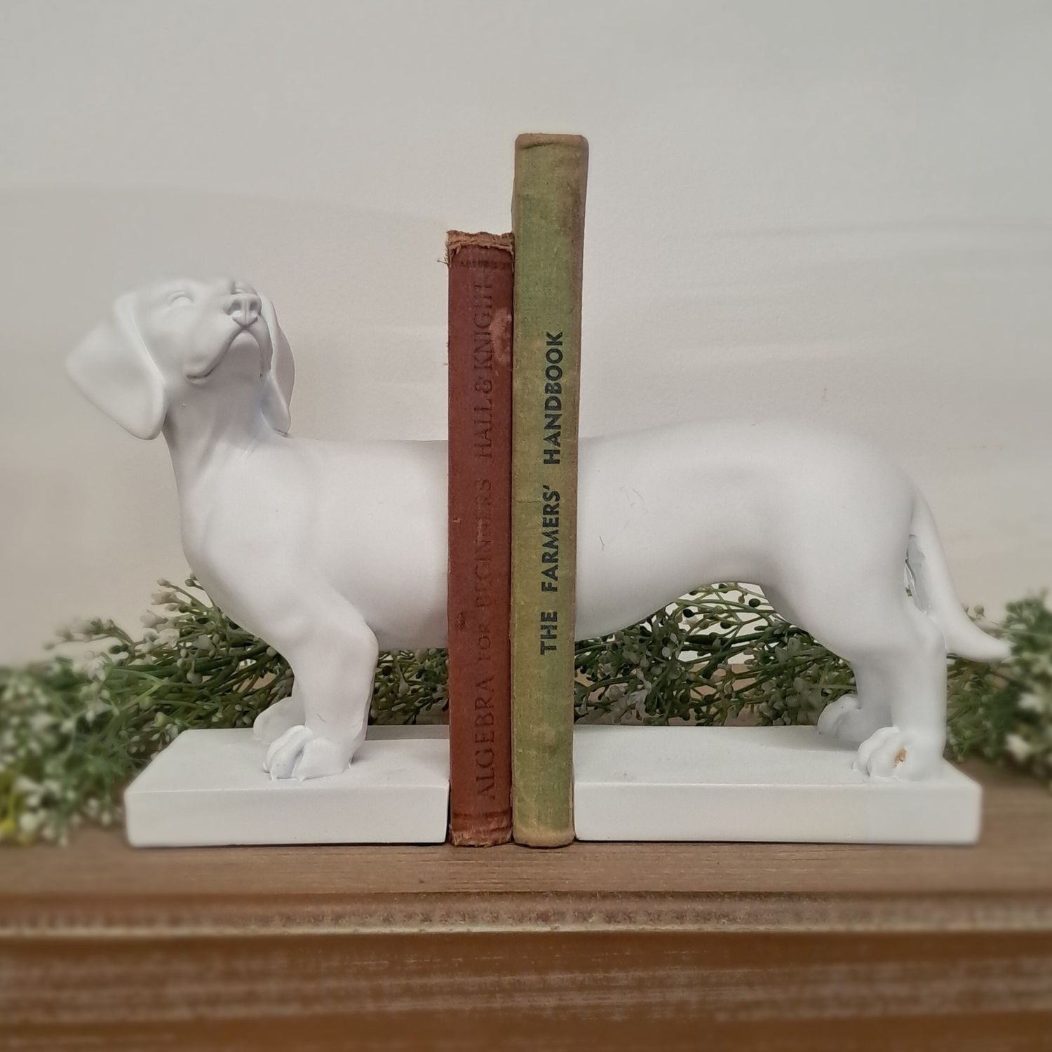 Dachshund Set/2  Bookends White