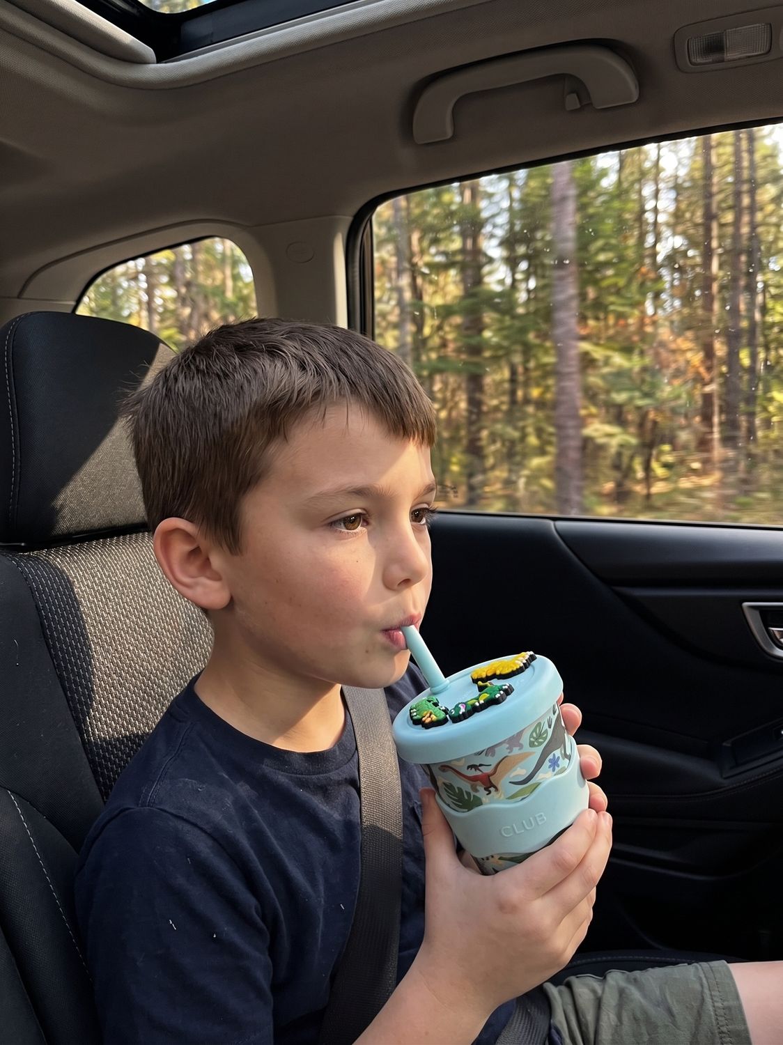 Dino Chino Charm Cup 8oz