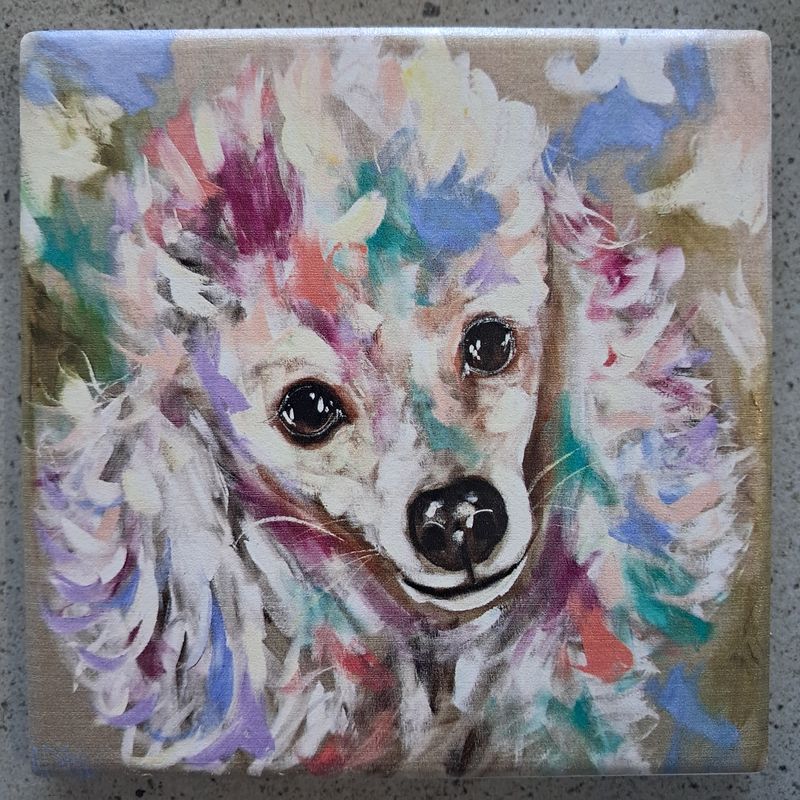 The Poodle Dog Love Coaster