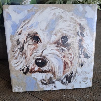 The Snowy Schnoodle Coaster