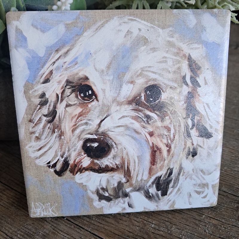 The Snowy Schnoodle Coaster