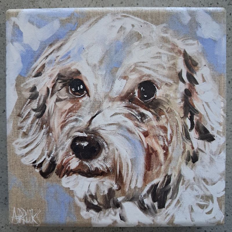 The Snowy Schnoodle Coaster