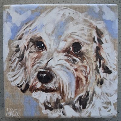 The Snowy Schnoodle Coaster