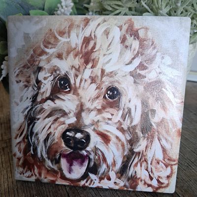 The Groodle Dog Coaster