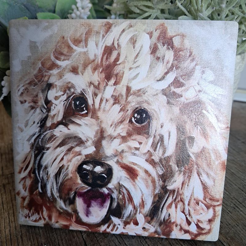 The Groodle Dog Coaster