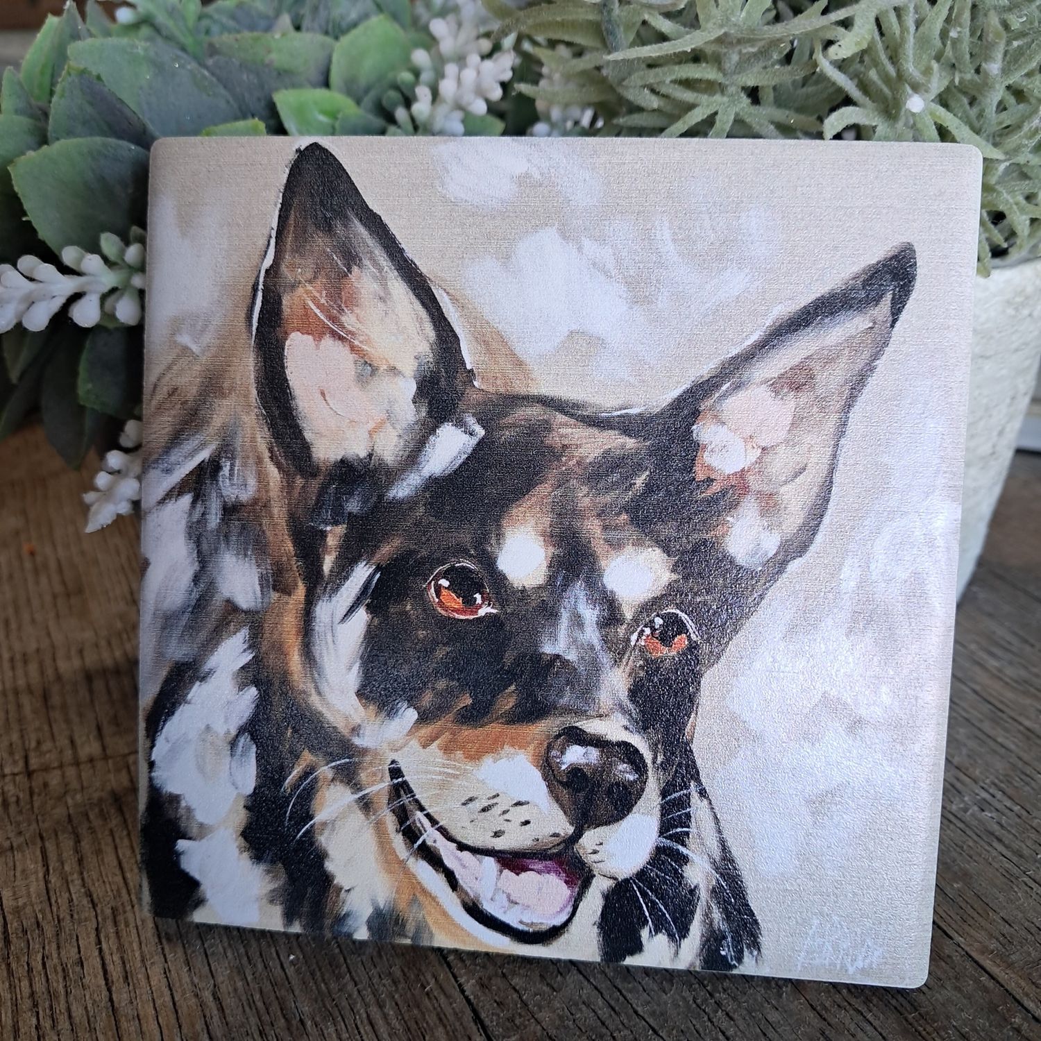 The Kelpie Working Dog Coaster