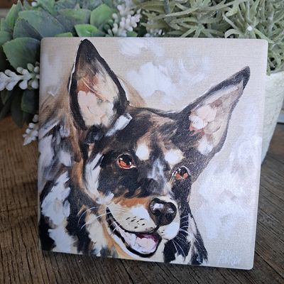 The Kelpie Working Dog Coaster